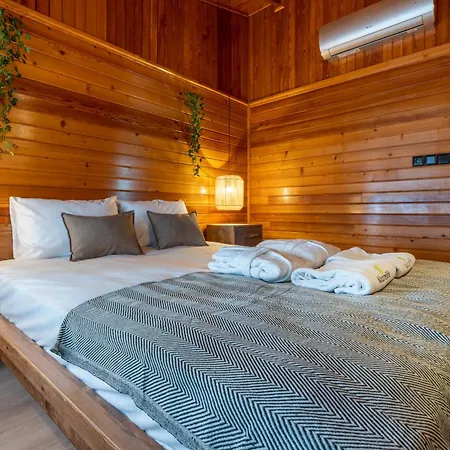 Hotel Windmolen *